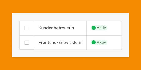 Kundenbetreuerin und Frontend-Entwicklerin mit Aktiv-Status in modernem Design, checklist, status-indicators